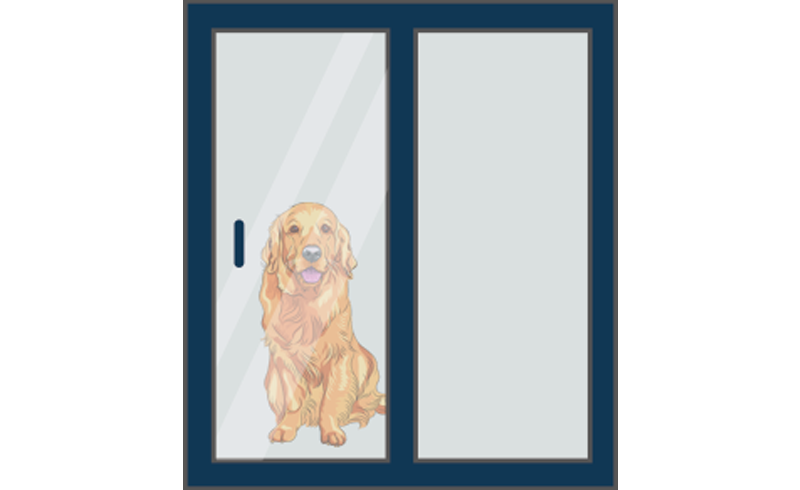 door with dog door