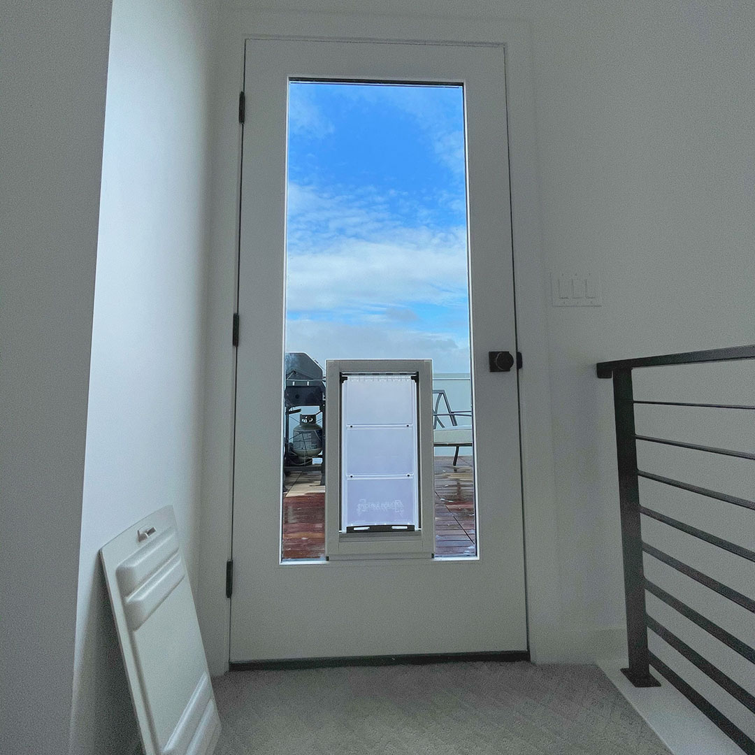 Dog Door in Glass