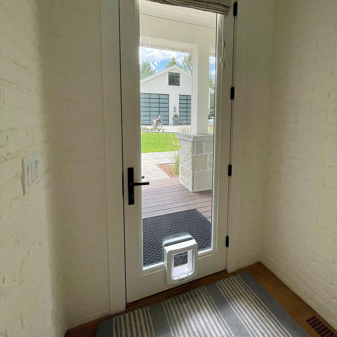 doggy door for glass door