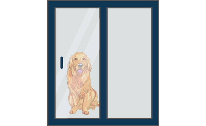 install pet door utah