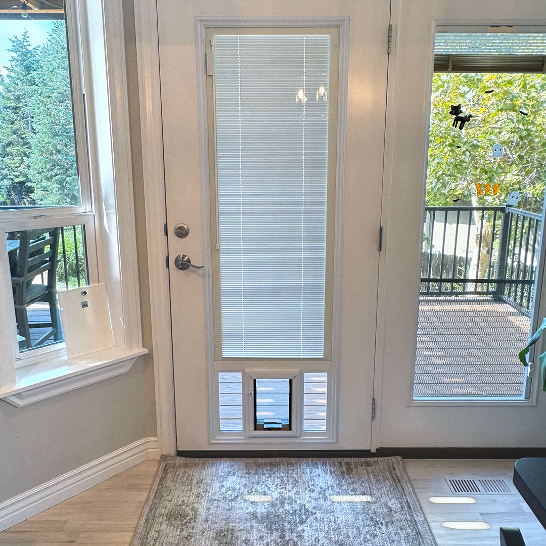 Glass Door With Security Boss Pet Door