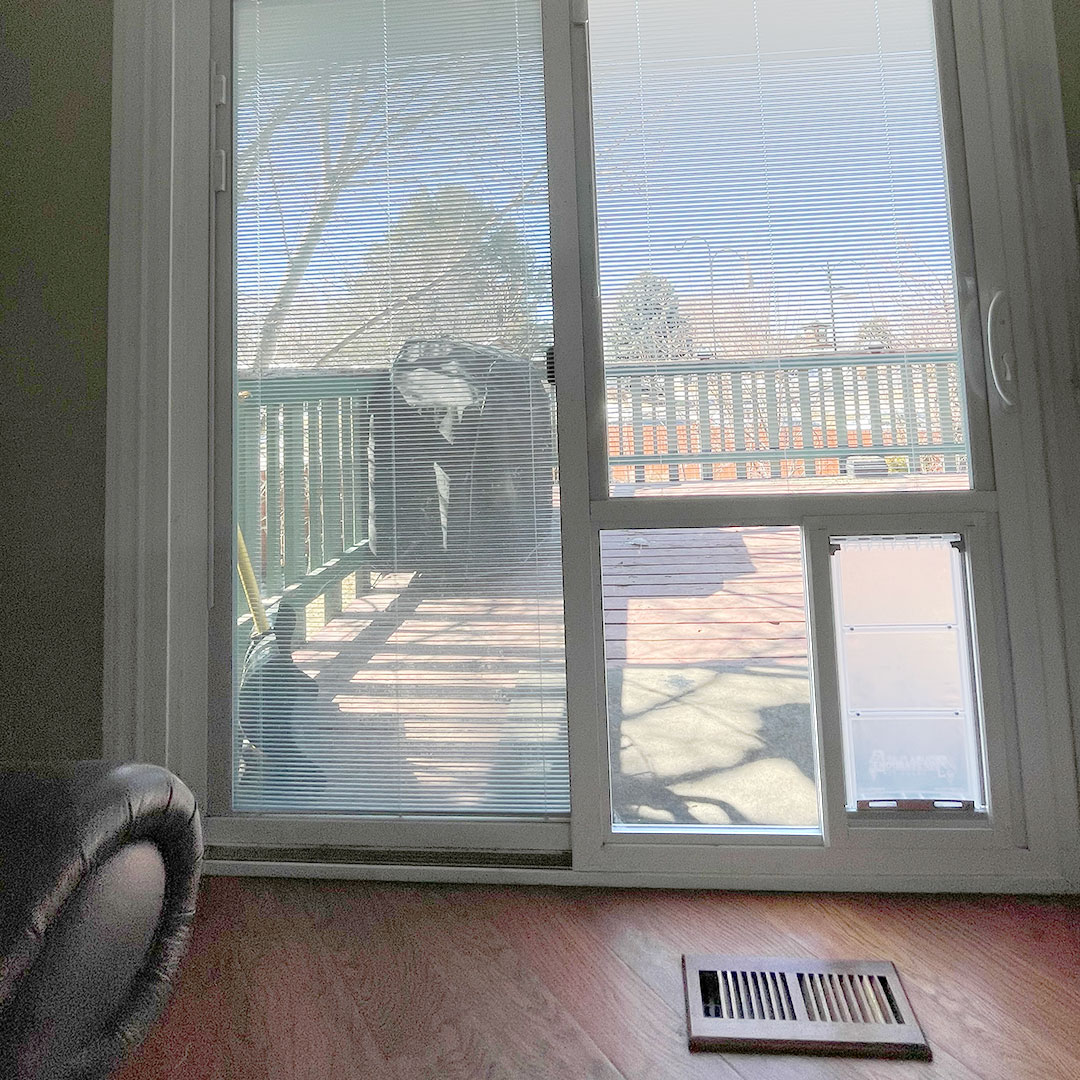 Sliding Glass Door With Interior Blinds and Endura Flap Pet Door