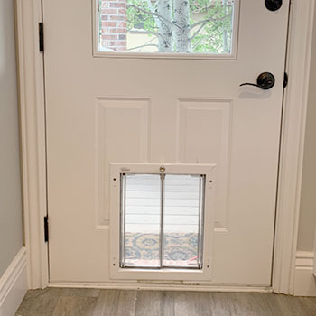Standard Door With PlexiDor Pet Door