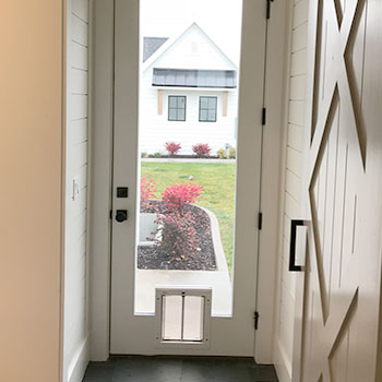Glass Door With PlexiDor Pet Door